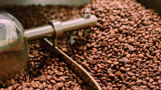 Ziarno Opowieści: Dlaczego Kawy Specialty Zmienią Twój Poranek?